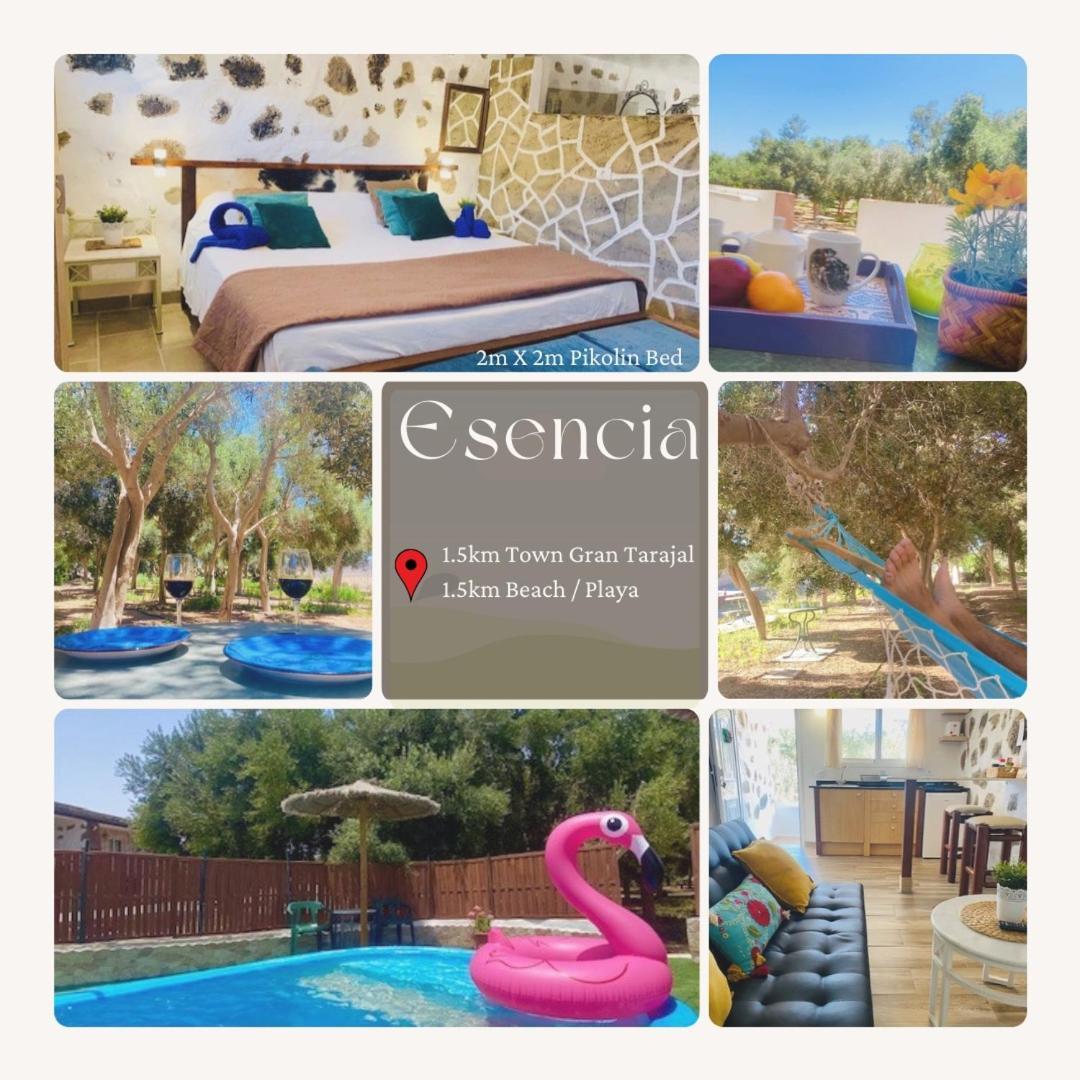 Bungalow Alma #Only Adults El Charco  Ngoại thất bức ảnh